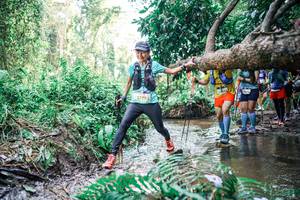 BIB: 
                            <button type="button" onclick="openModal(25475406)" class="btn btn-primary btn-sm float-right btn-popup" data-toggle="modal" data-target=".modal-high-quality">
                        <i class="fas fa-shopping-cart"></i> Add to Cart
                    </button>
                                            <button type="button" onclick="isThisMe(25475406, true)" class="btn btn-success btn-sm float-right btn-popup btn-isme hidden" data-toggle="tooltip" data-placement="bottom" title="นี่คือรูปของคุณใช่ไหม คลิกที่นี่เพื่อเอาเข้าอัลบั้ม">
                        <i class="fas fa-plus"></i> Add to album
                    </button>
                    <button type="button" onclick="isThisMe(25475406, false)" class="btn btn-warning btn-sm float-right btn-popup btn-isnotme hidden">
                        <i class="fas fa-ban"></i> Remove from album
                    </button>